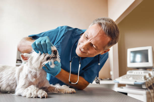 Best Emergency Tooth Extraction in Buffalo, TX